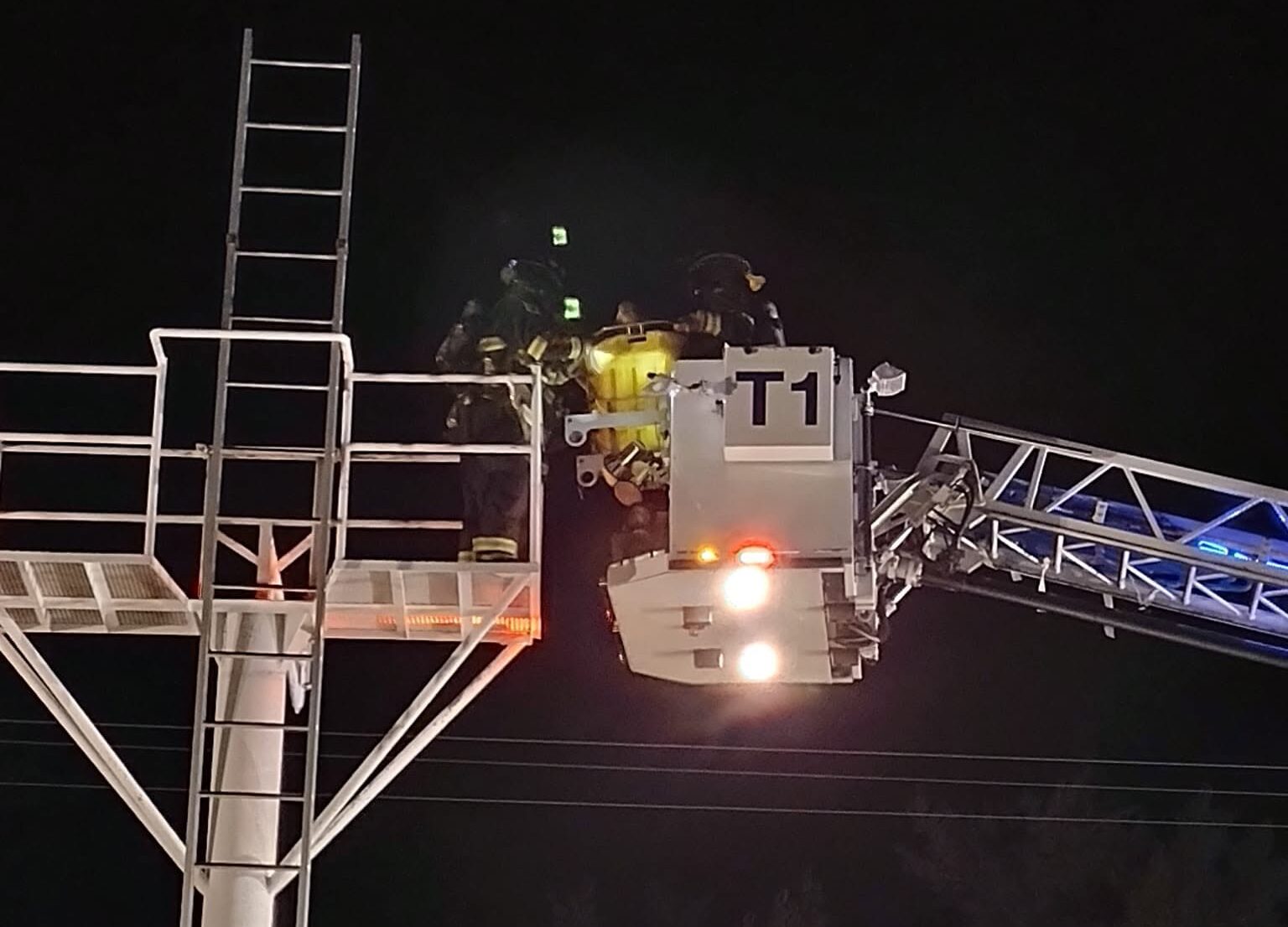 Landercobra3